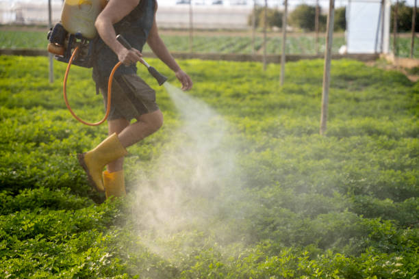 Best Pest Removal Services  in Wendell, NC