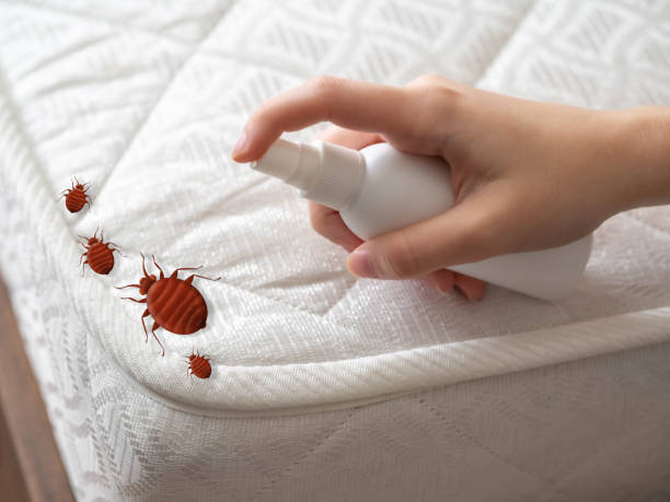 Best Commercial Pest Control Services  in Wendell, NC
